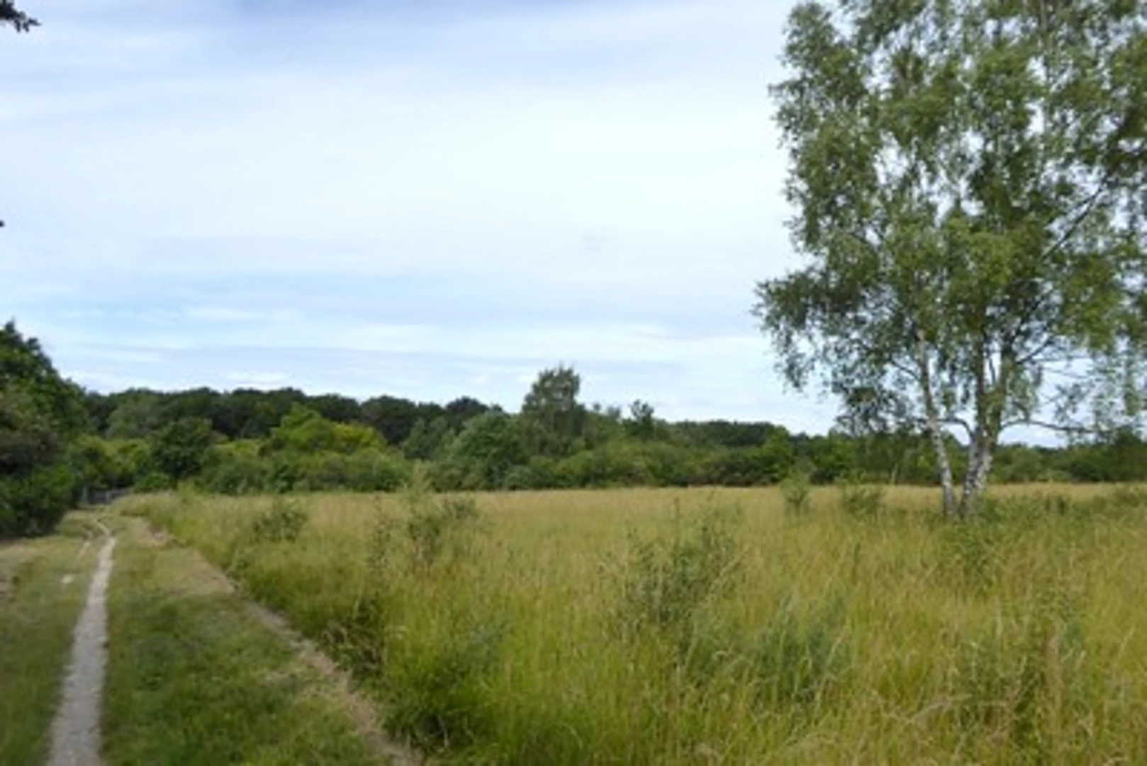 An image depicting the trail Banstead Common and Oaks Park Loop and its surrounding area.