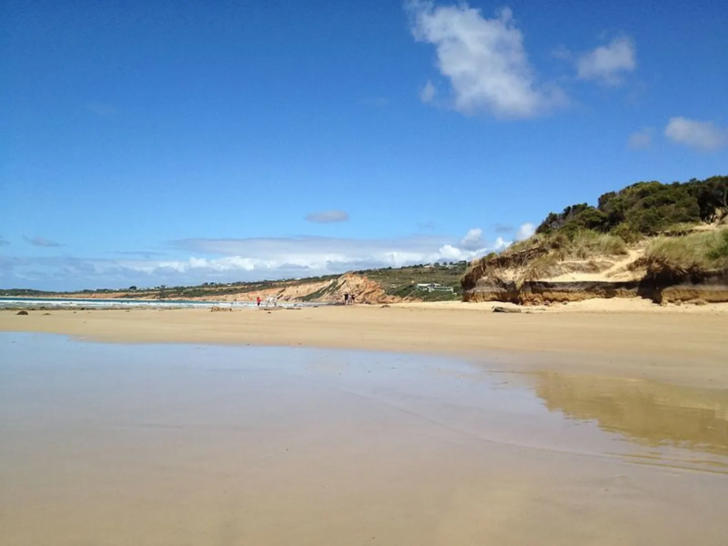 An image depicting the trail Anglesea to Point Roadnight Walk and its surrounding area.