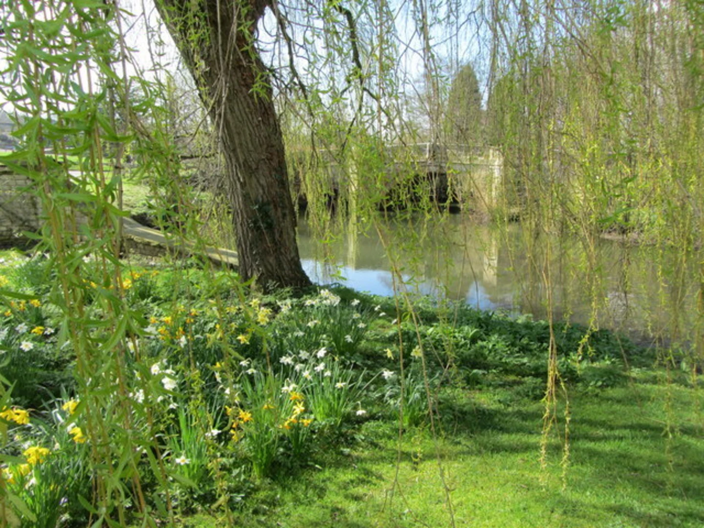 An image depicting the trail Nunnington and the River Rye and its surrounding area.