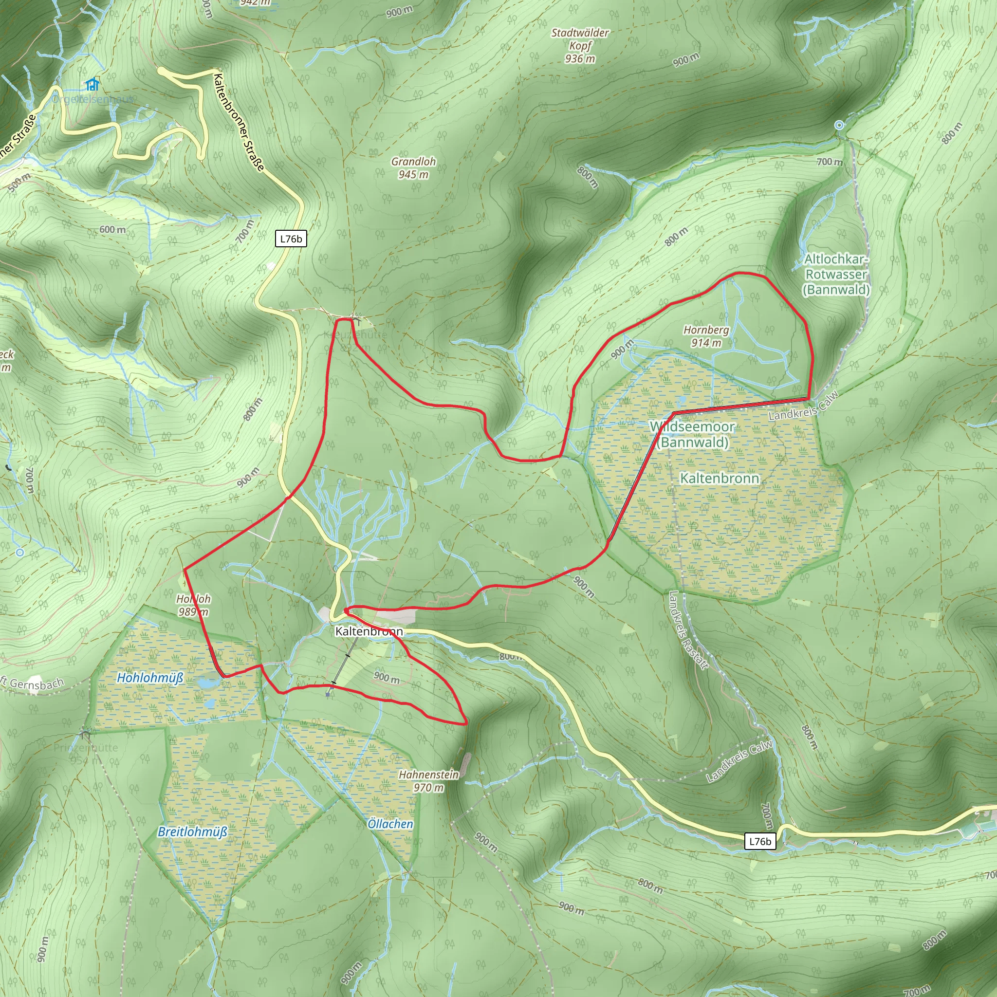 Hohlohturm, Teufelsgrab and Hornsee Wildsee Loop mobile static map