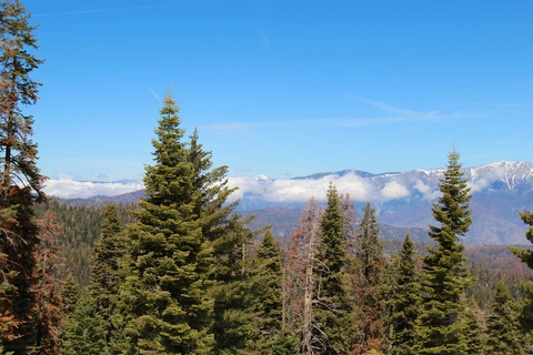 Buena Vista Trail from Generals Highway