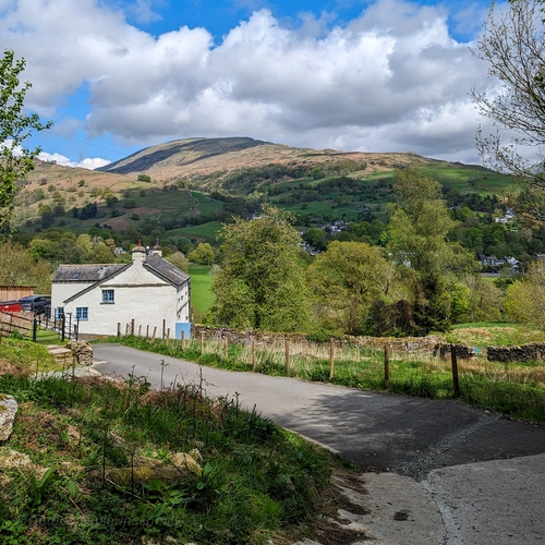 Lily Tarn Walk from Ambleside