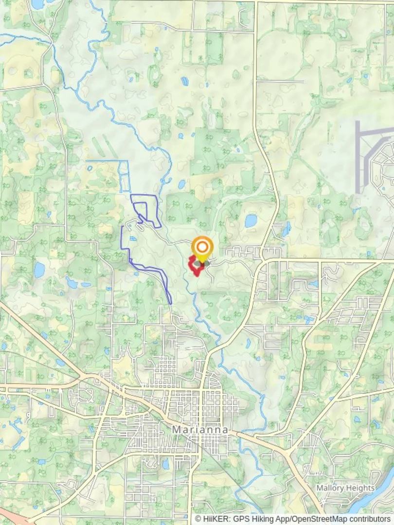 An image depicting the trail Beech Magnolia Loop Trail and its surrounding area.