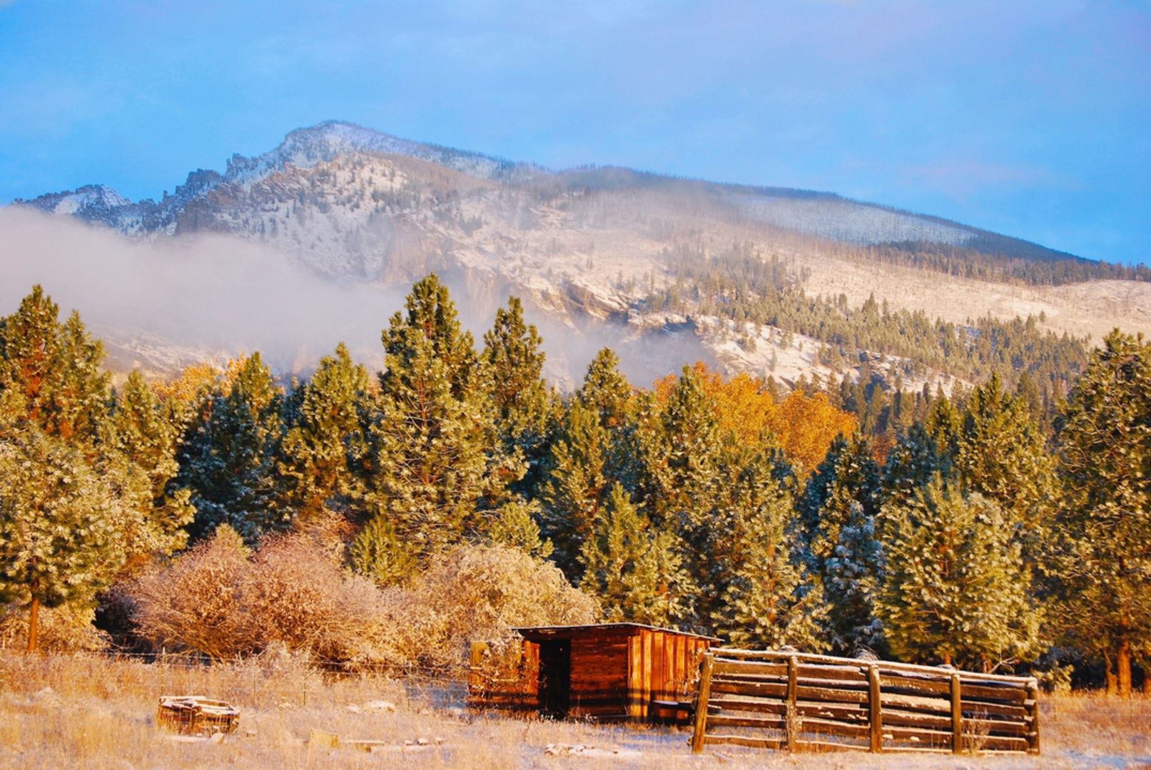 An image depicting the trail Trapper Creek Trail and its surrounding area.