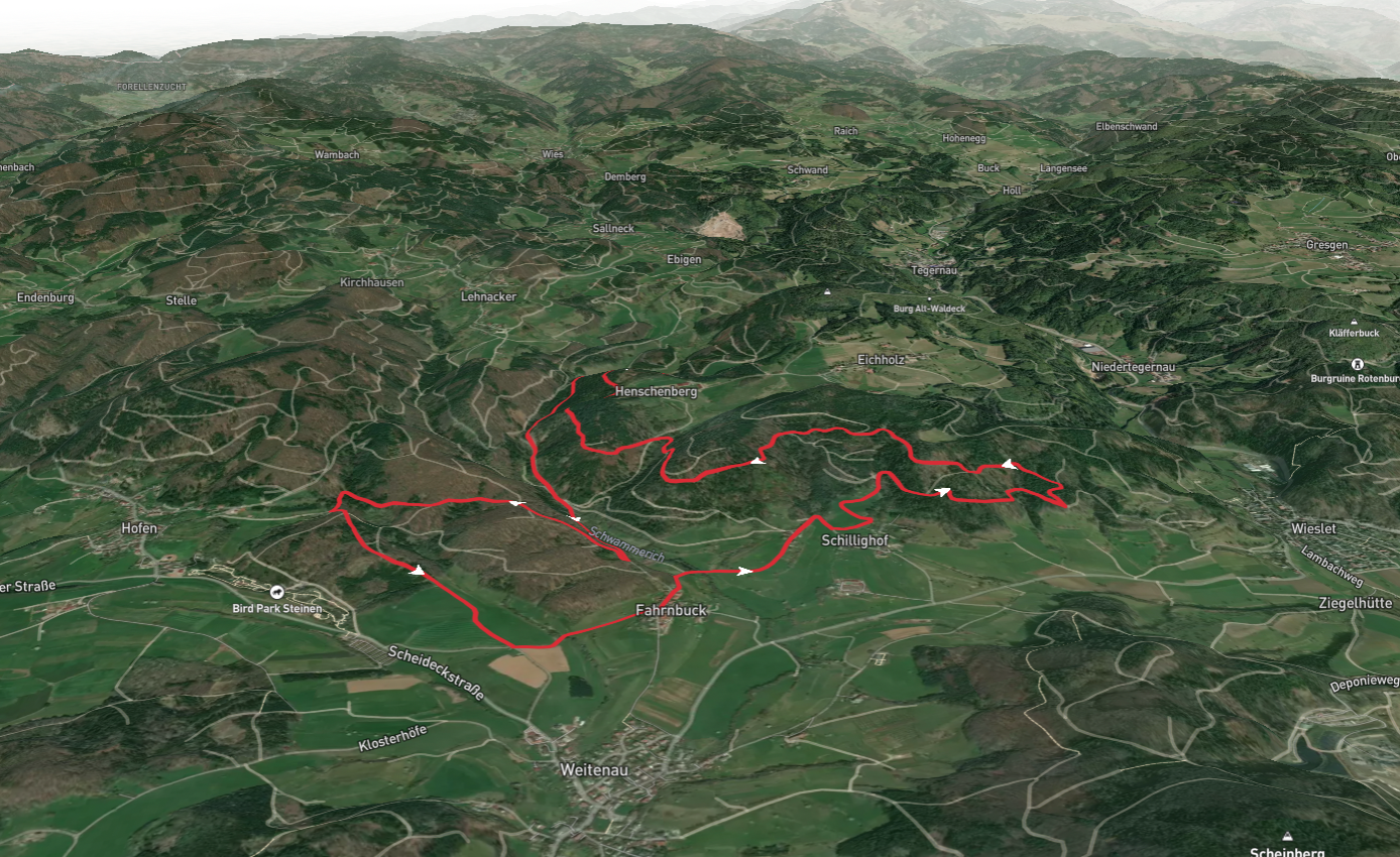 Fahrnbuck to Henschenberg Loop via Unterer Buchwaldweg