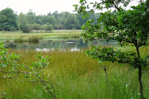 Vroome and Kootwijkerveen Loop