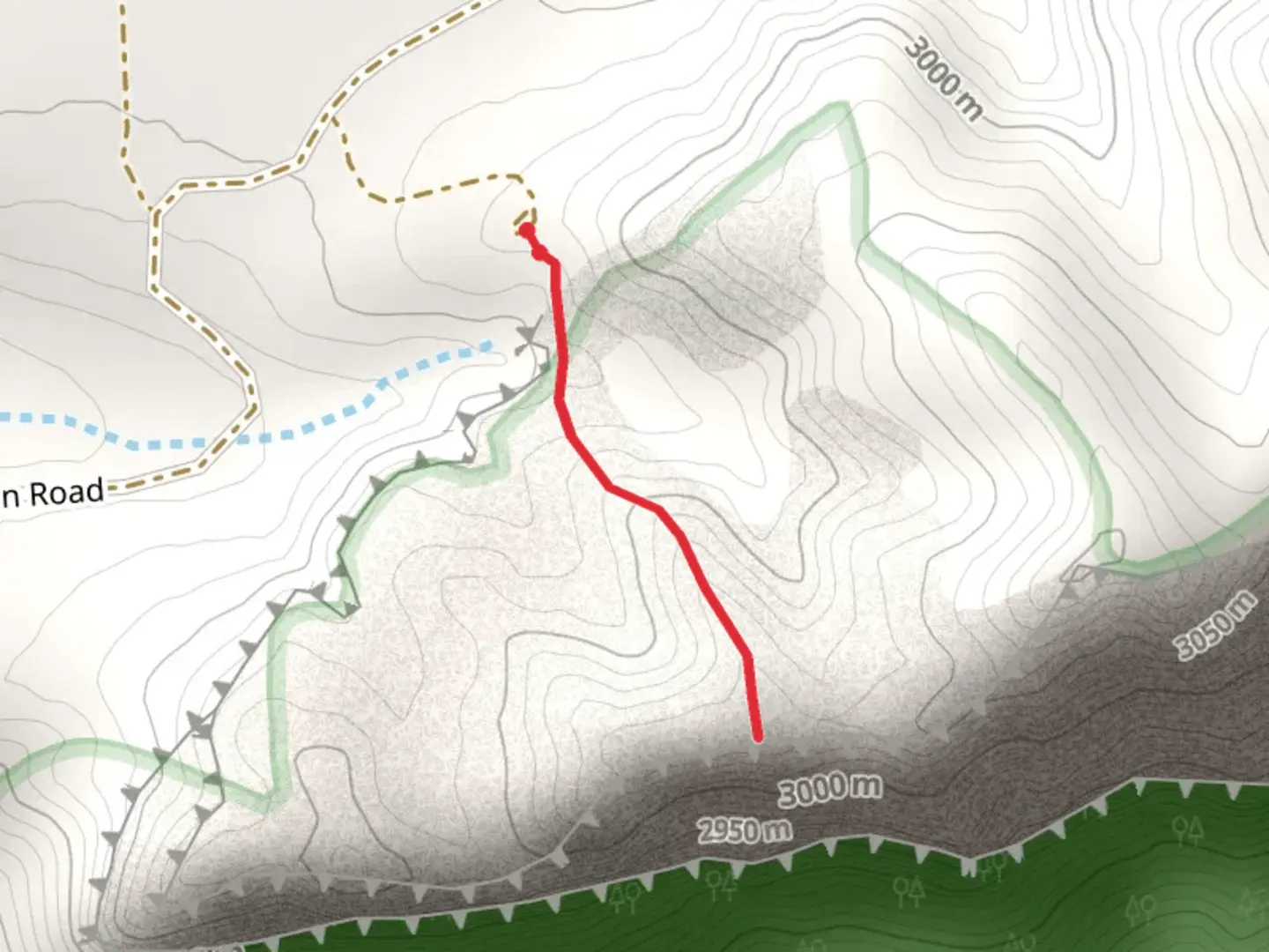 An image depicting the trail Twisted Forest Trail and its surrounding area.