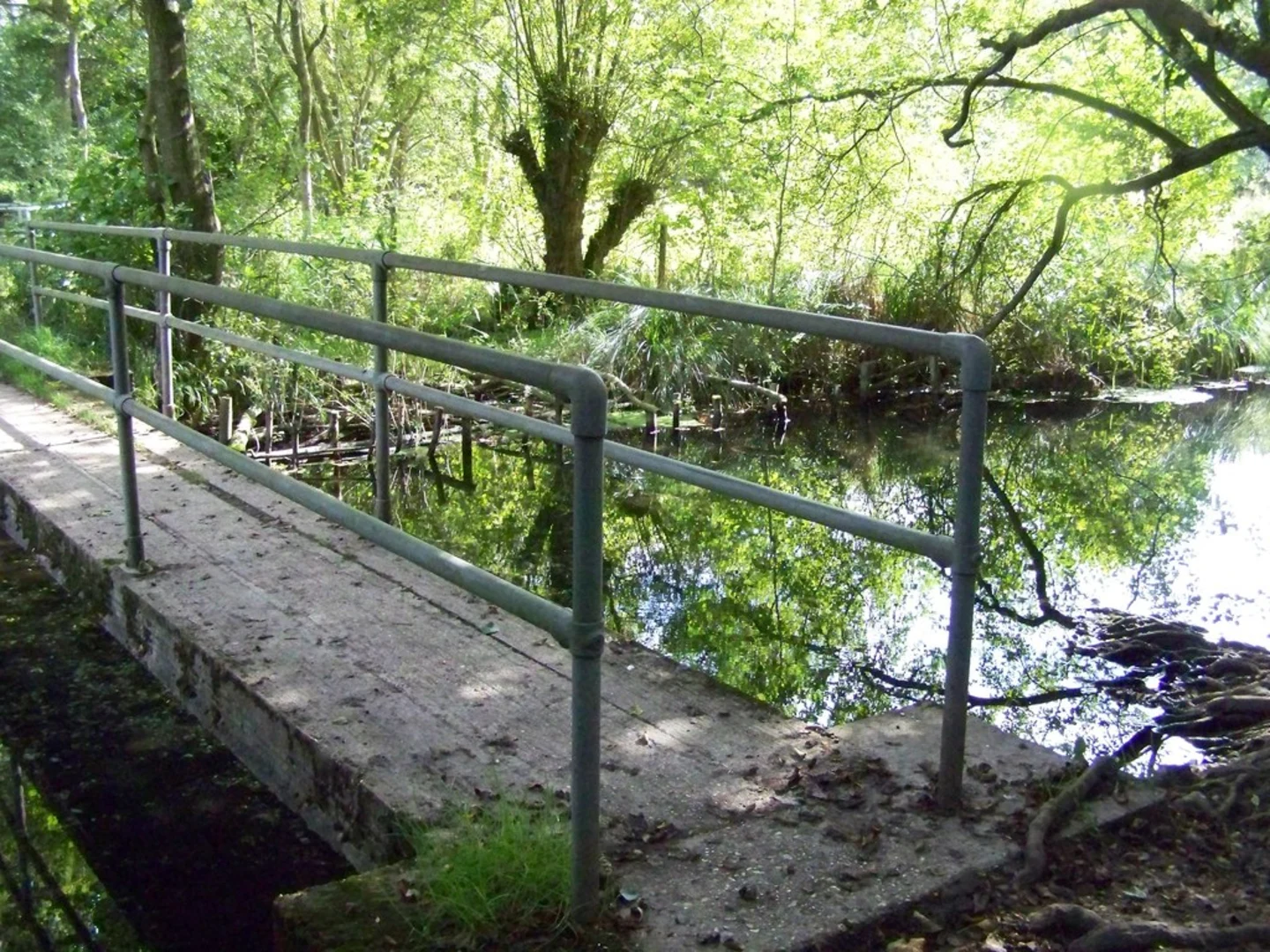 An image depicting the trail Winchfield to Basingstoke Walk and its surrounding area.