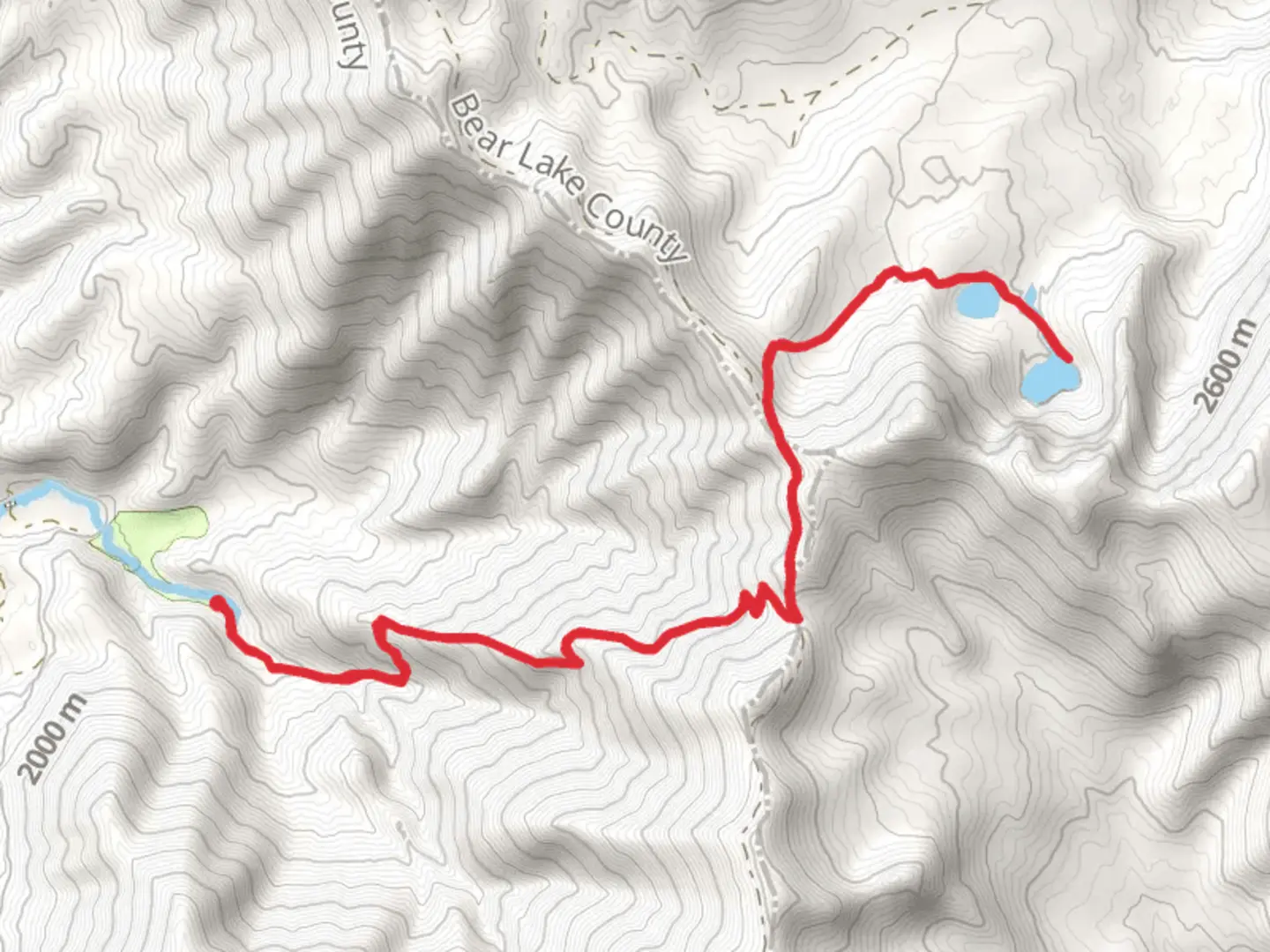 An image depicting the trail Bloomington Lake via Willow Flat Springs Trail and its surrounding area.