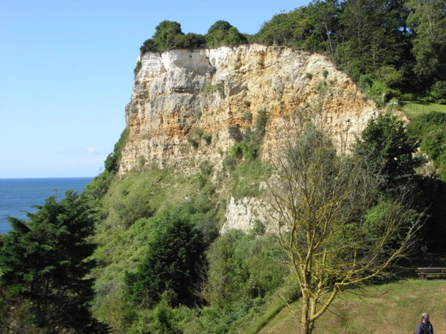 An image depicting the trail Whitecliff and Beer Beach and its surrounding area.