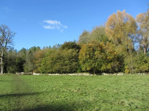 An image depicting the trail Oxhill Wood and River Coln Loop and its surrounding area.
