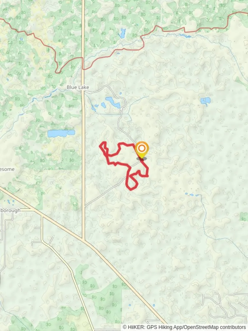 An image depicting the trail Yellow Loop Trail and its surrounding area.