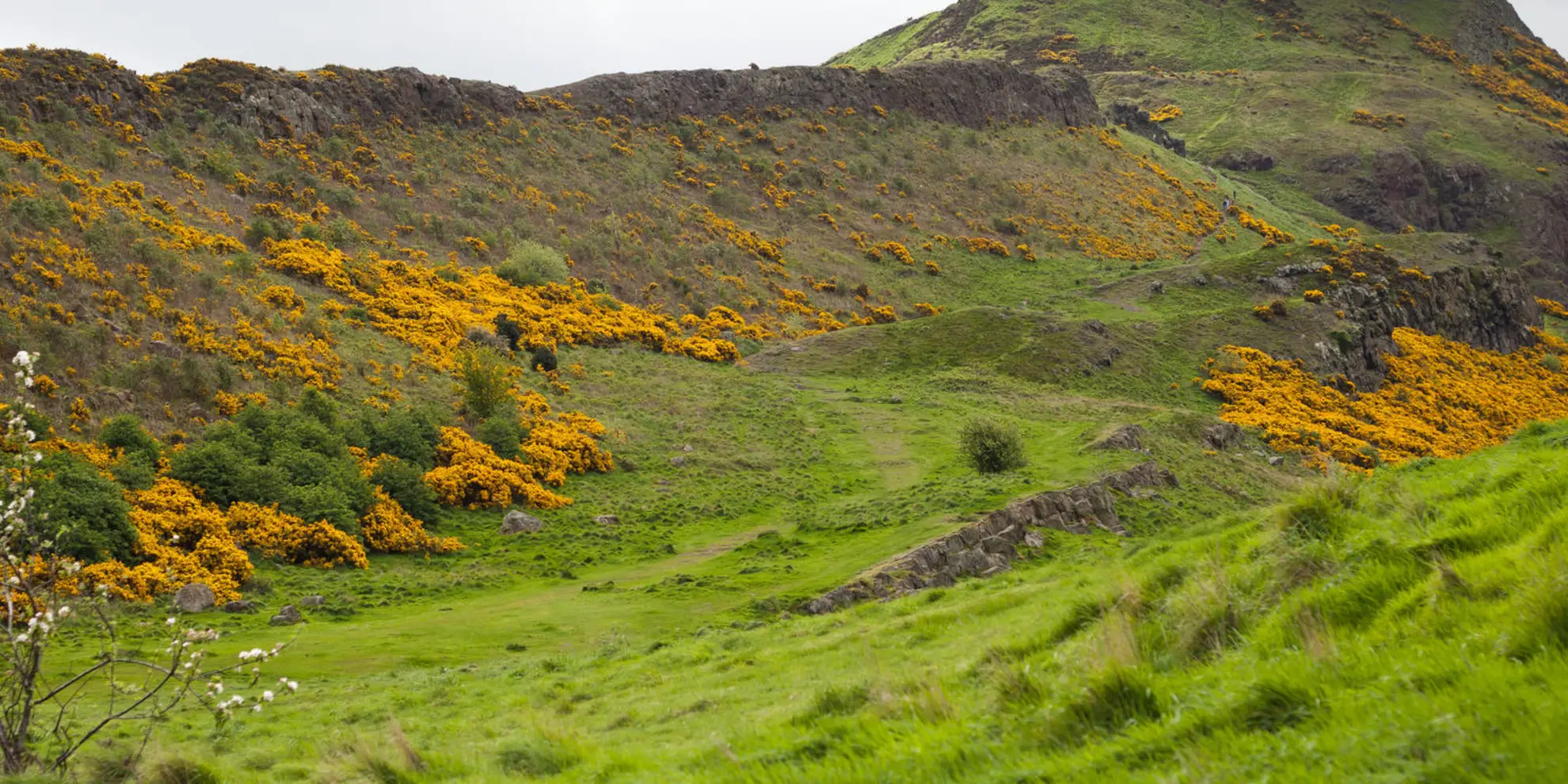 An image depicting the trail Arthur's Seat Loop via Cat Nick and its surrounding area.