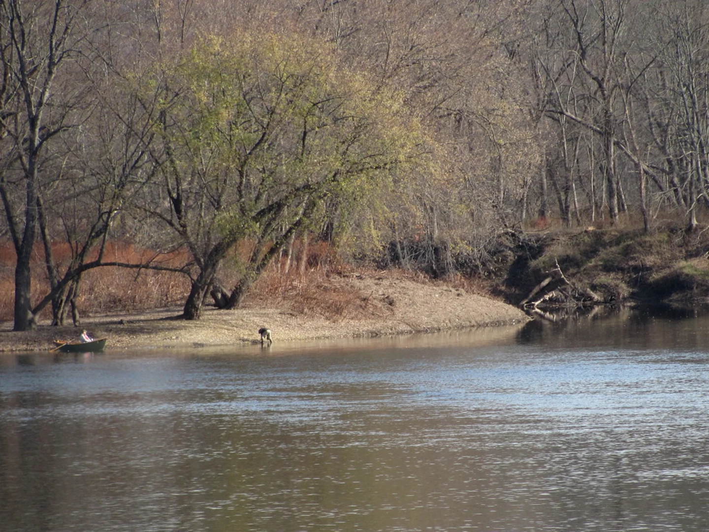 An image depicting the trail McDade Recreational Trail and its surrounding area.