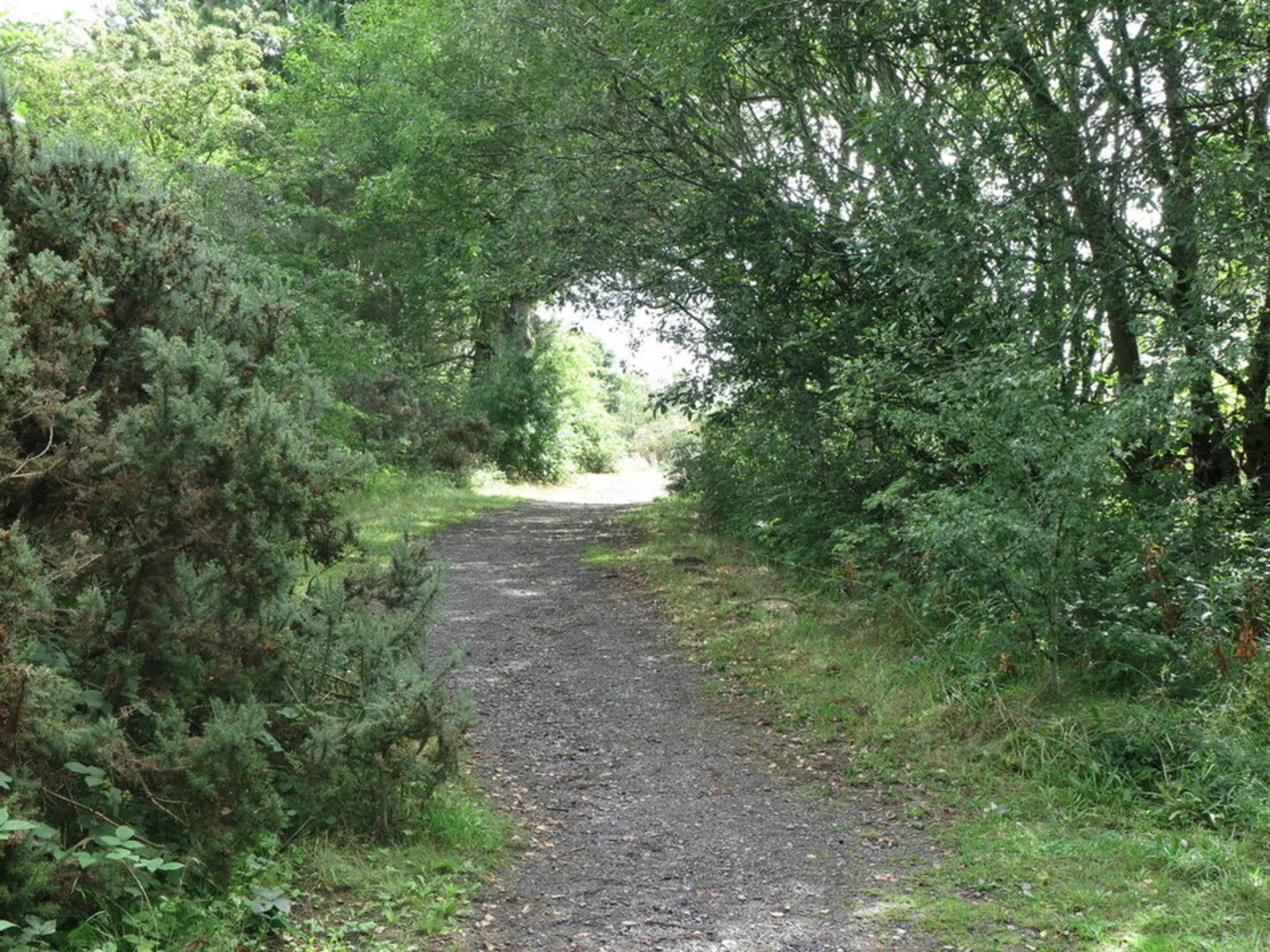 An image depicting the trail Weetslade Country Park Walk and its surrounding area.