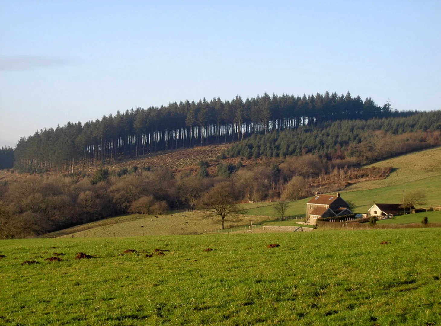 An image depicting the trail Rowberrow Warren and its surrounding area.