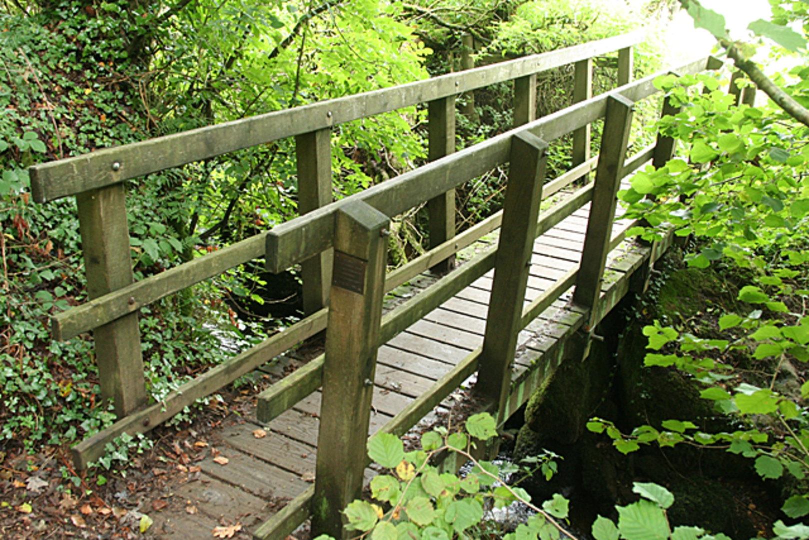 An image depicting the trail Chagford to Drewsteignton Walk and its surrounding area.