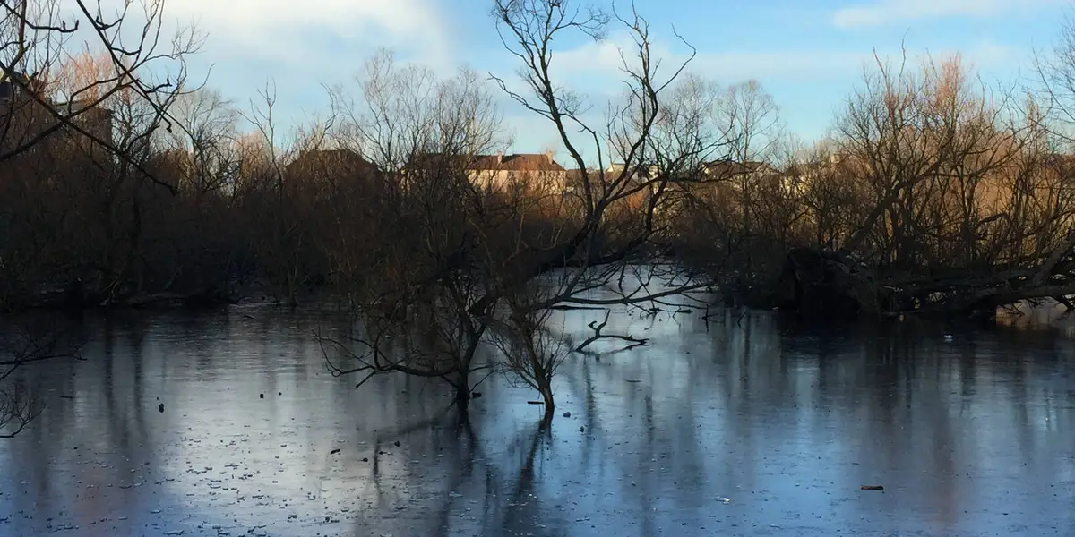 Drumpellier Country Park - Coatbridge