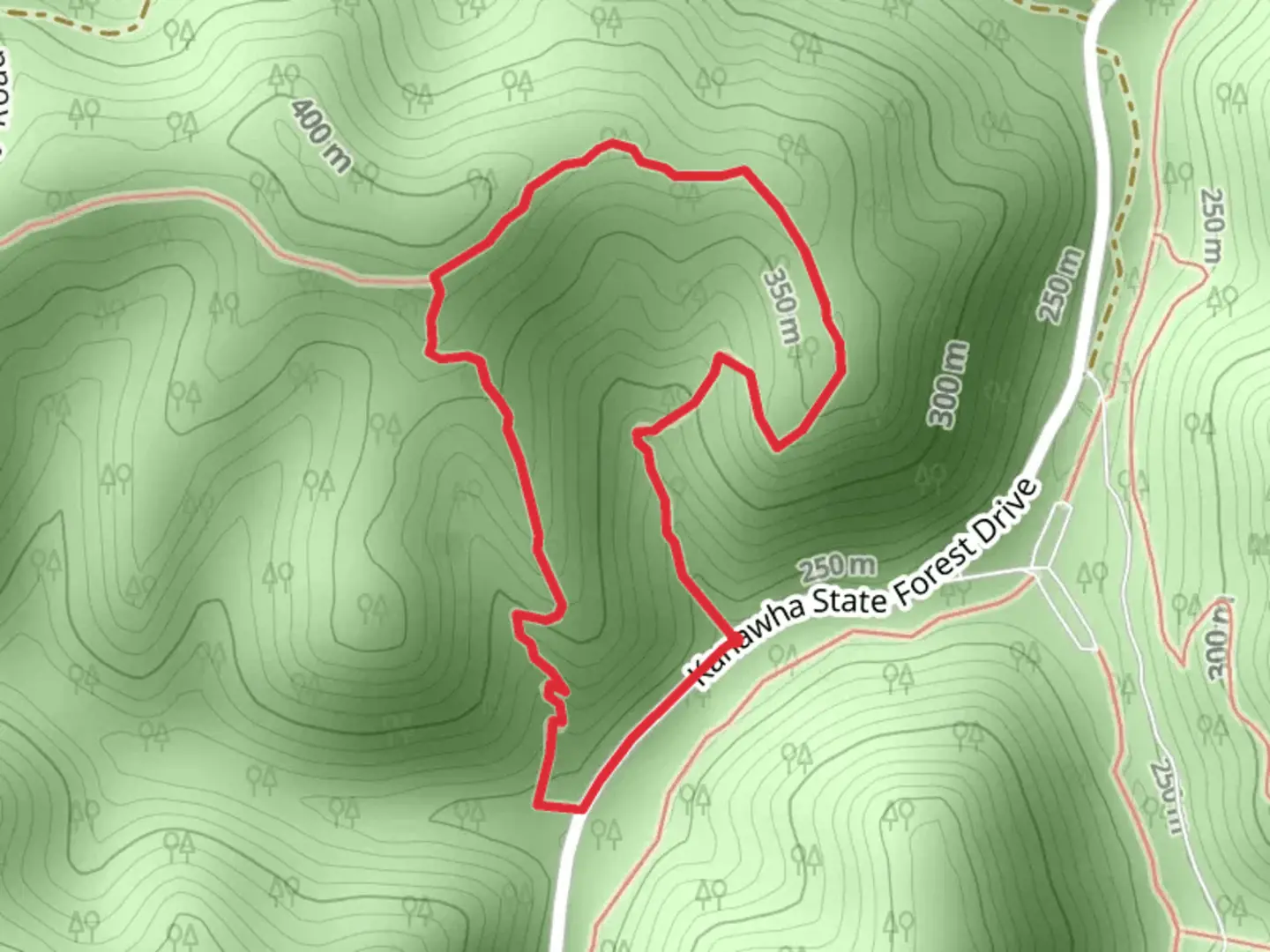 An image depicting the trail Overlook Trail from State Forest Connell Road and its surrounding area.