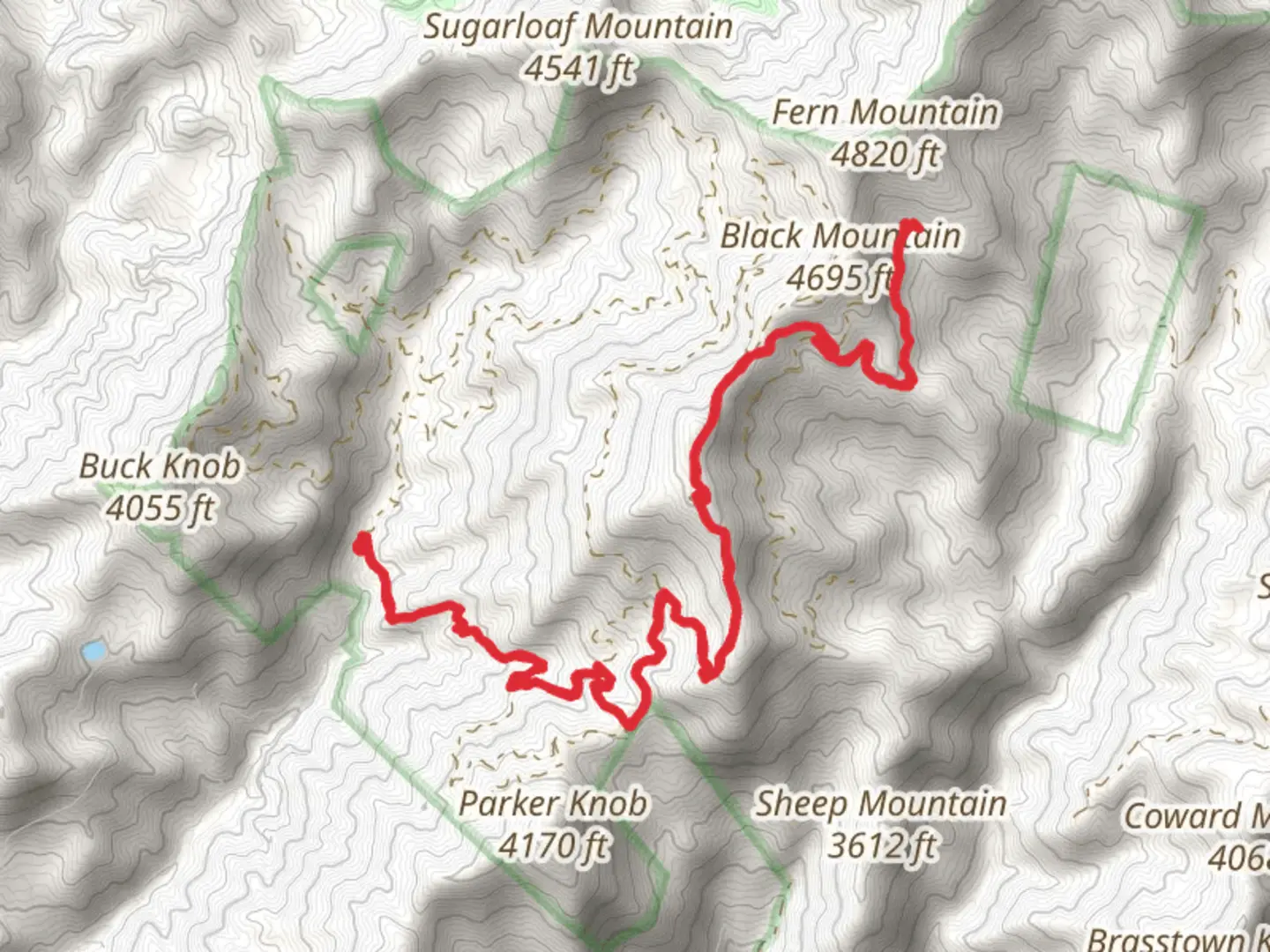 An image depicting the trail Wayehutta Out and Back and its surrounding area.