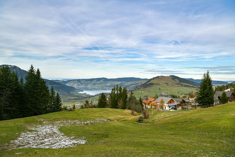 Zugerberg - Sattel Trail