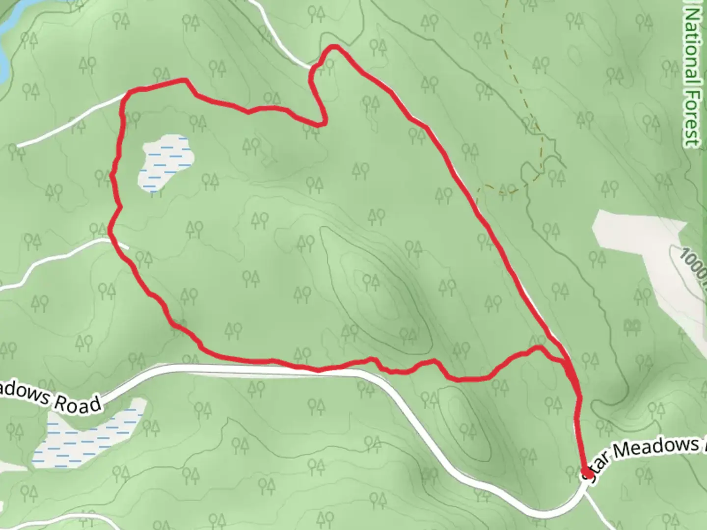 An image depicting the trail Fox Run Trail via Round Meadow Loop Trail and its surrounding area.