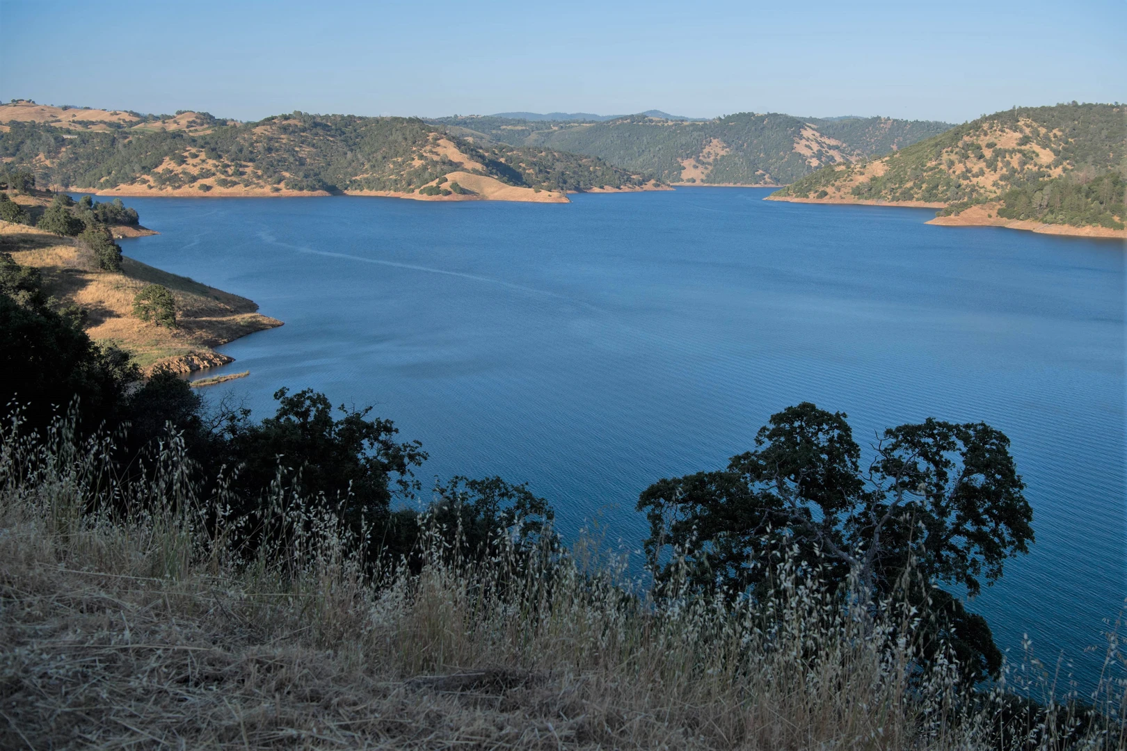 An image depicting the trail Shell Road Hill Trail and its surrounding area.