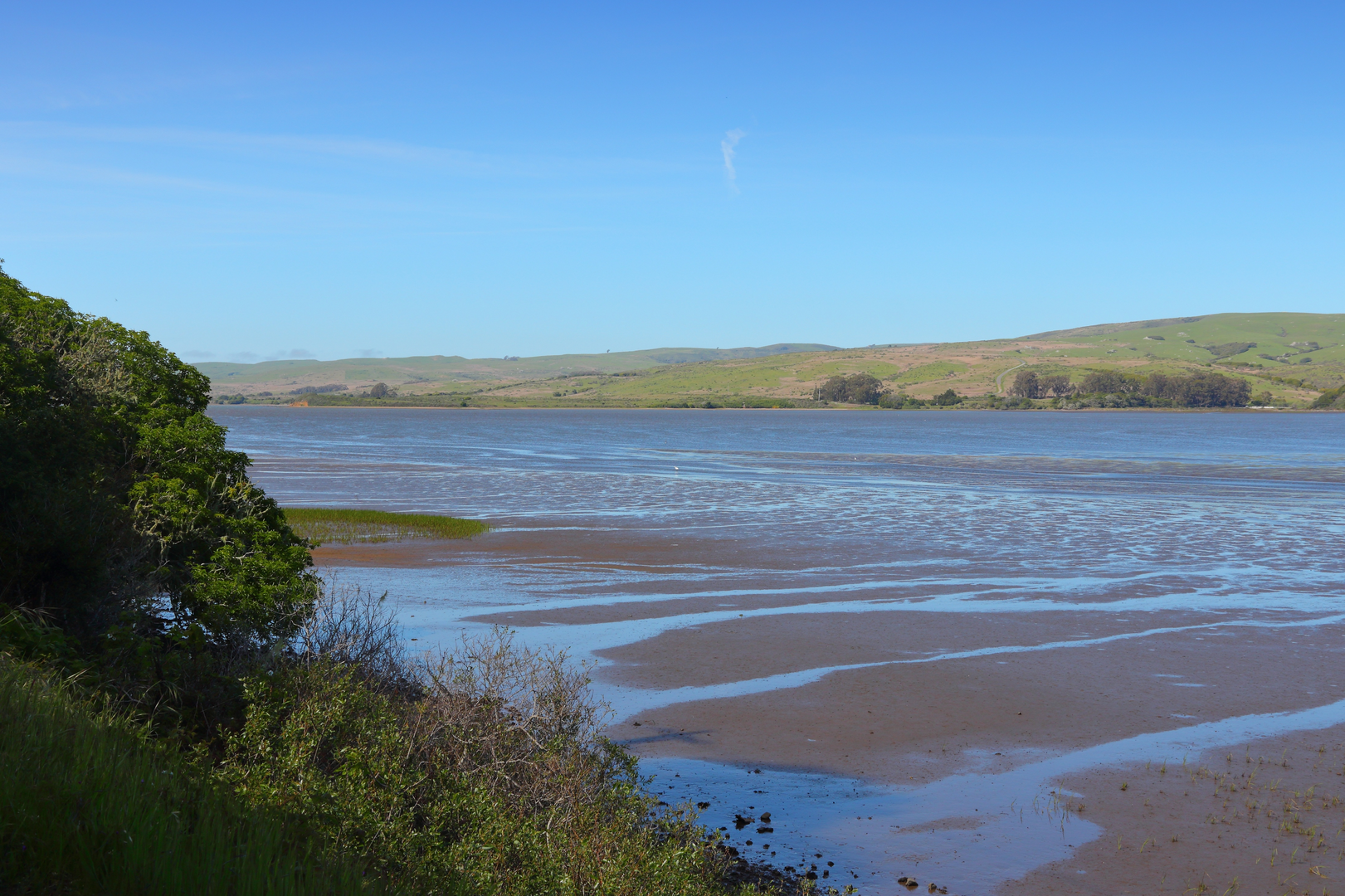 An image depicting the trail Tomales Bay Loop and its surrounding area.