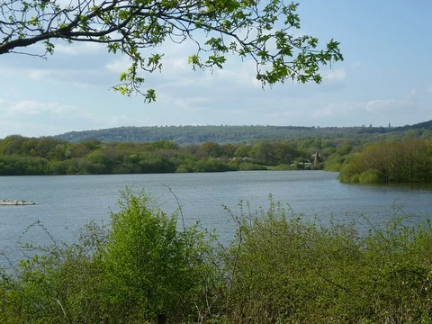 An image depicting the trail Bough Beech Reservoir Loop and its surrounding area.