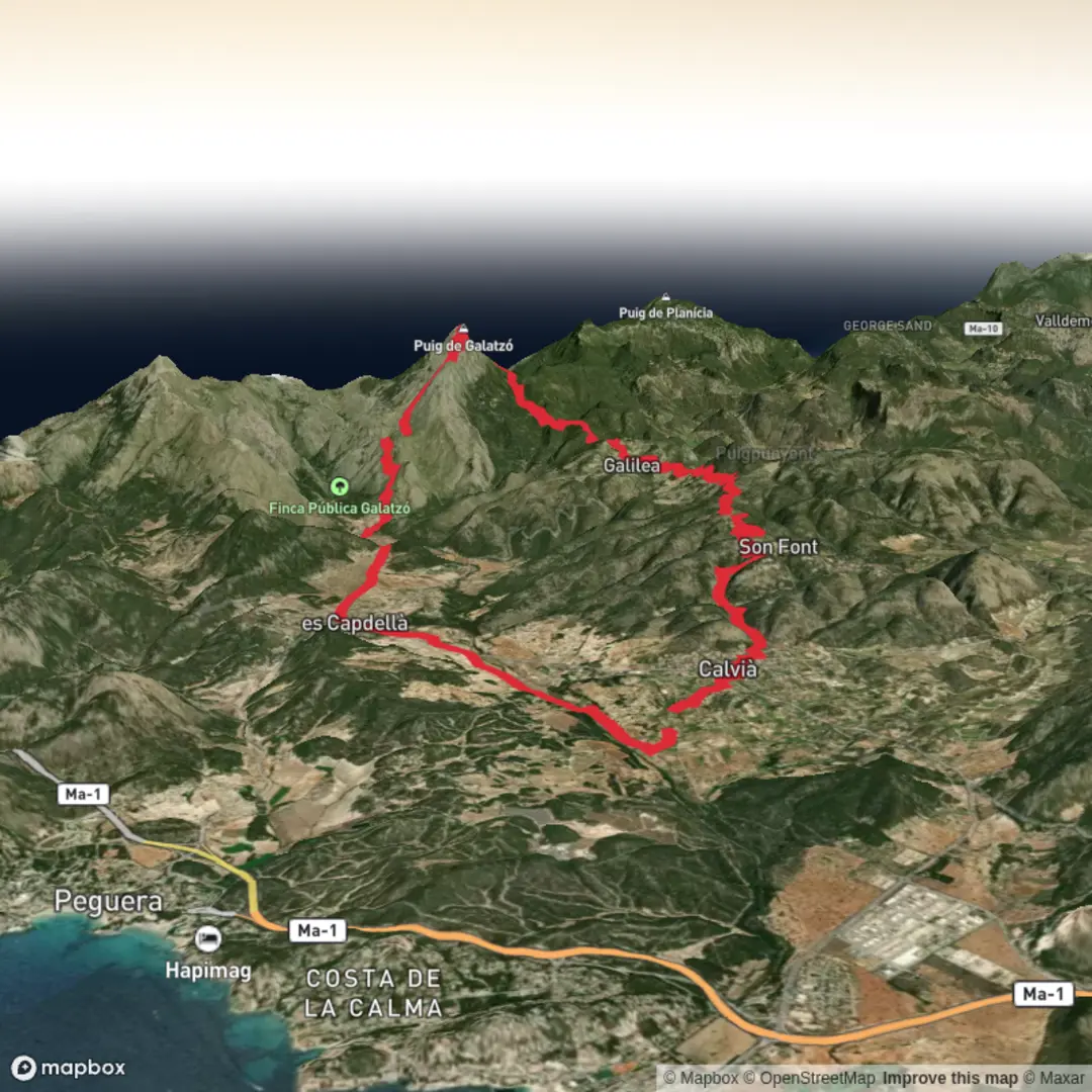 An image depicting the trail Palma Loop North and its surrounding area.