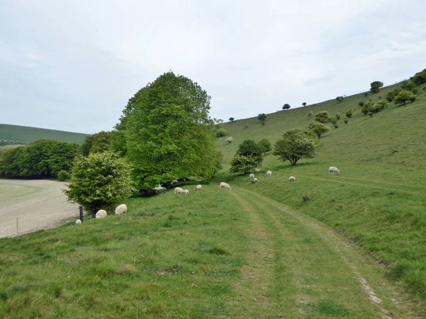 An image depicting the trail Castle Hill Loop and its surrounding area.