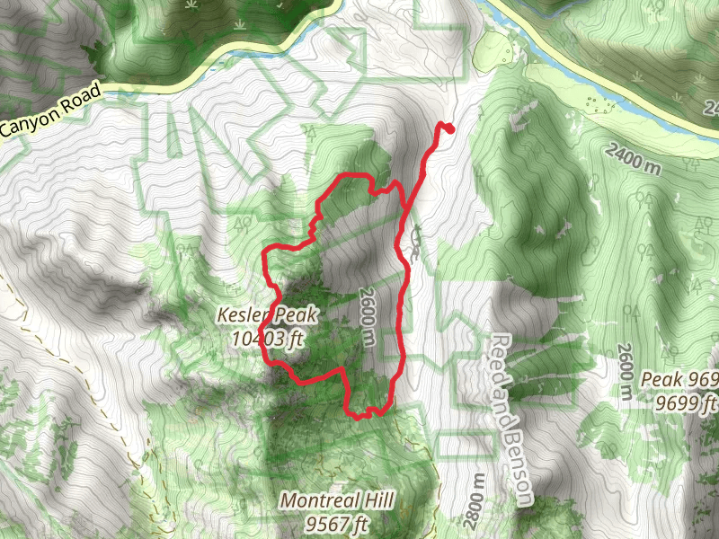 Kesler Peak Trail and Relsek Trail