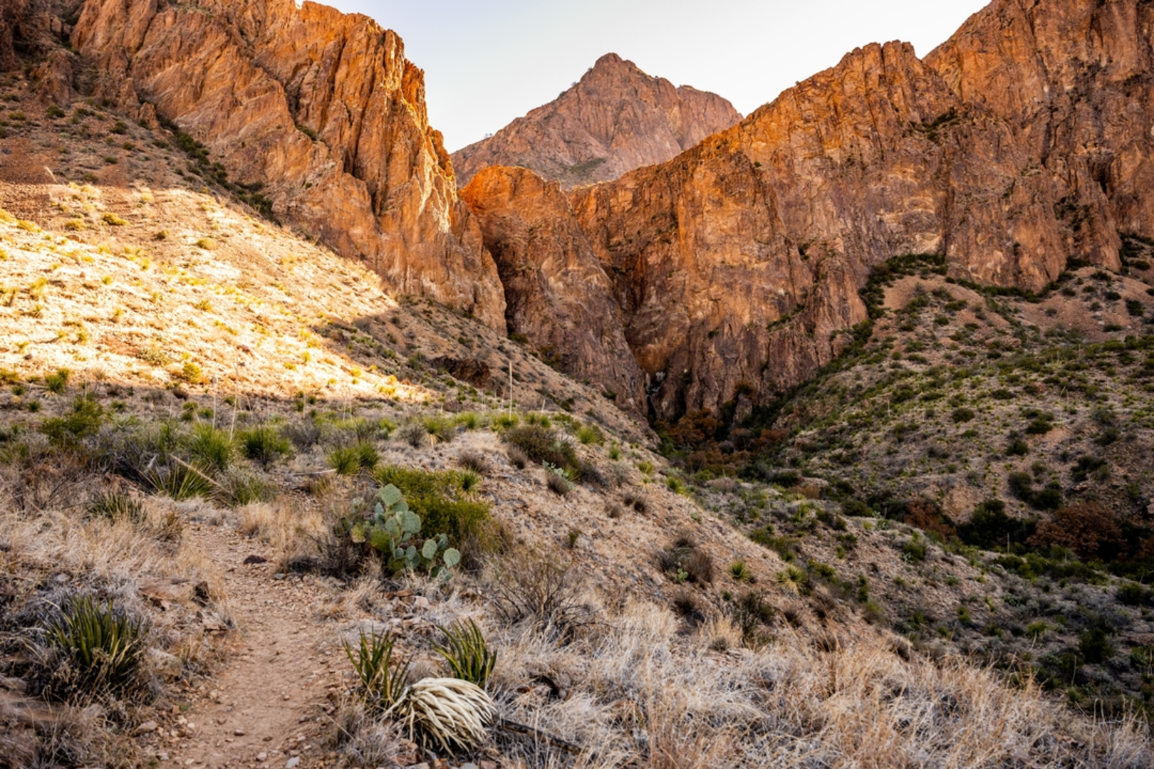An image depicting the trail Cattail Falls Trail and its surrounding area.