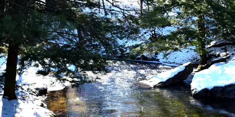 An image depicting the trail Quehanna Trail - NE and its surrounding area.