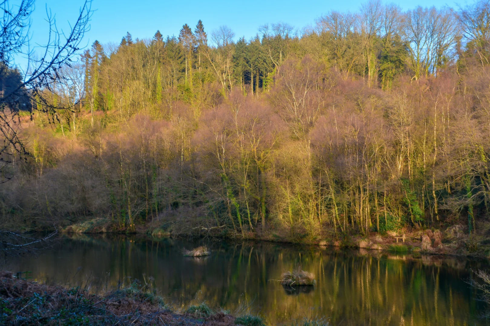 An image depicting the trail Otterhead Lakes and its surrounding area.