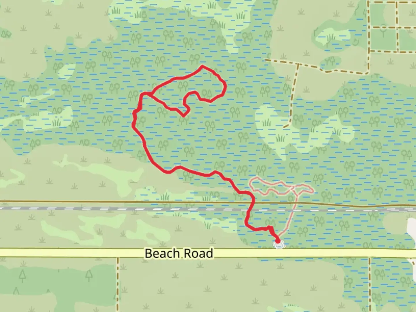 An image depicting the trail Palm Hammock Loop Trail and its surrounding area.