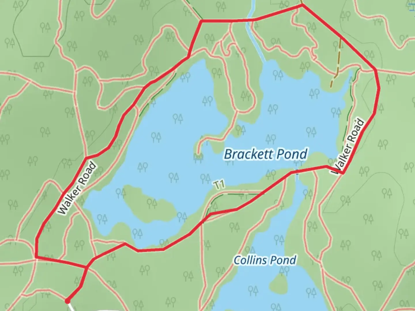 An image depicting the trail Brackett Pond Loop and its surrounding area.
