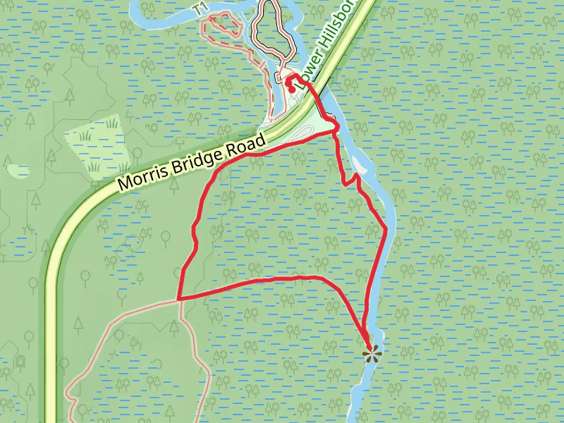 Wilderness Park Main and Bald Cypress Loop Trail