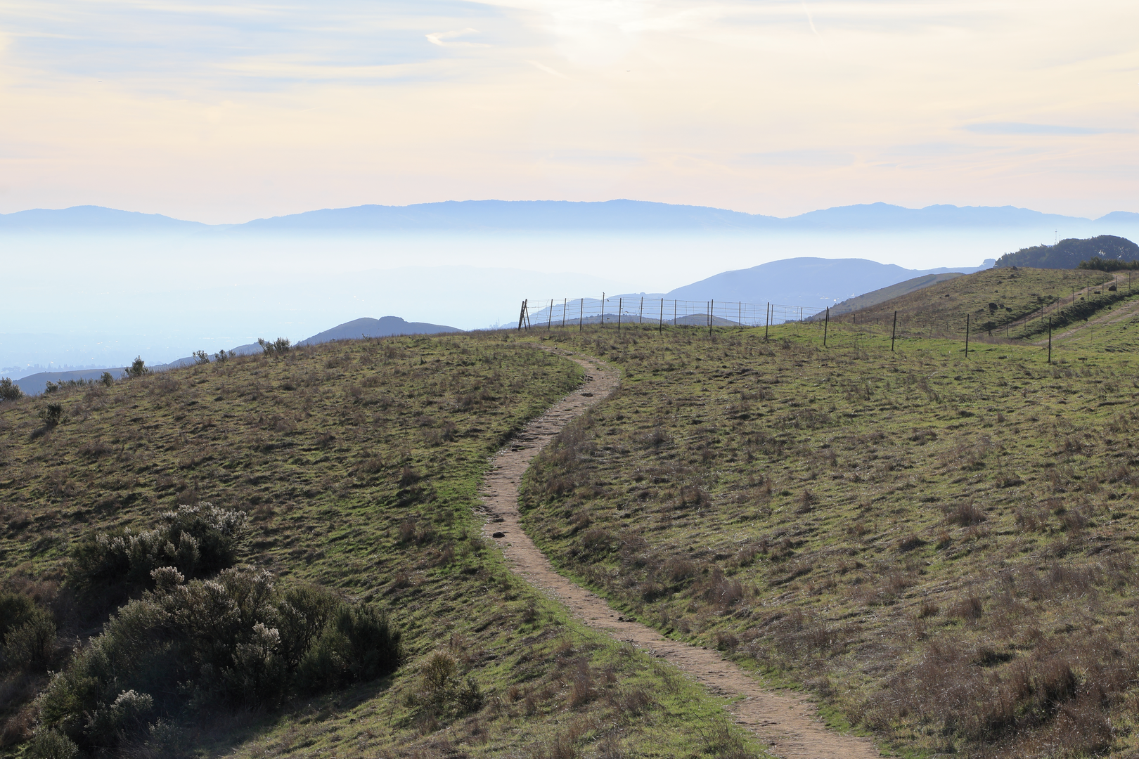 An image depicting the trail Vail Peak, Las Trampas Ridge and Calaveras Ridge Trail and its surrounding area.