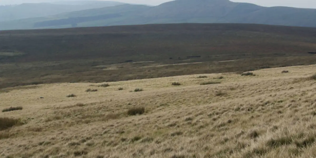 Cumberland Brook - Danethorn Hollow and Danebower Hollow