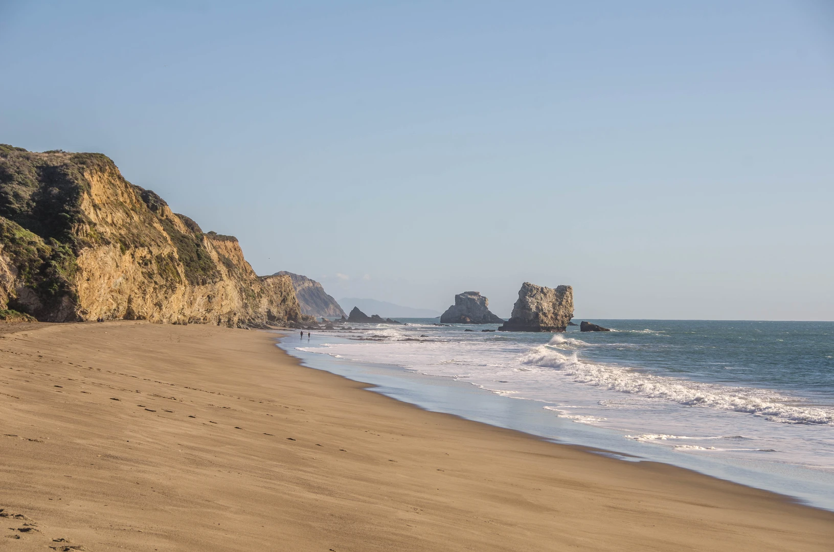An image depicting the trail Mount Wittenberg - Meadow - Old Pine Loop Trail and its surrounding area.