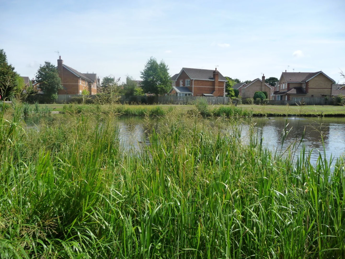 An image depicting the trail Norton-on-Derwent Loop and its surrounding area.