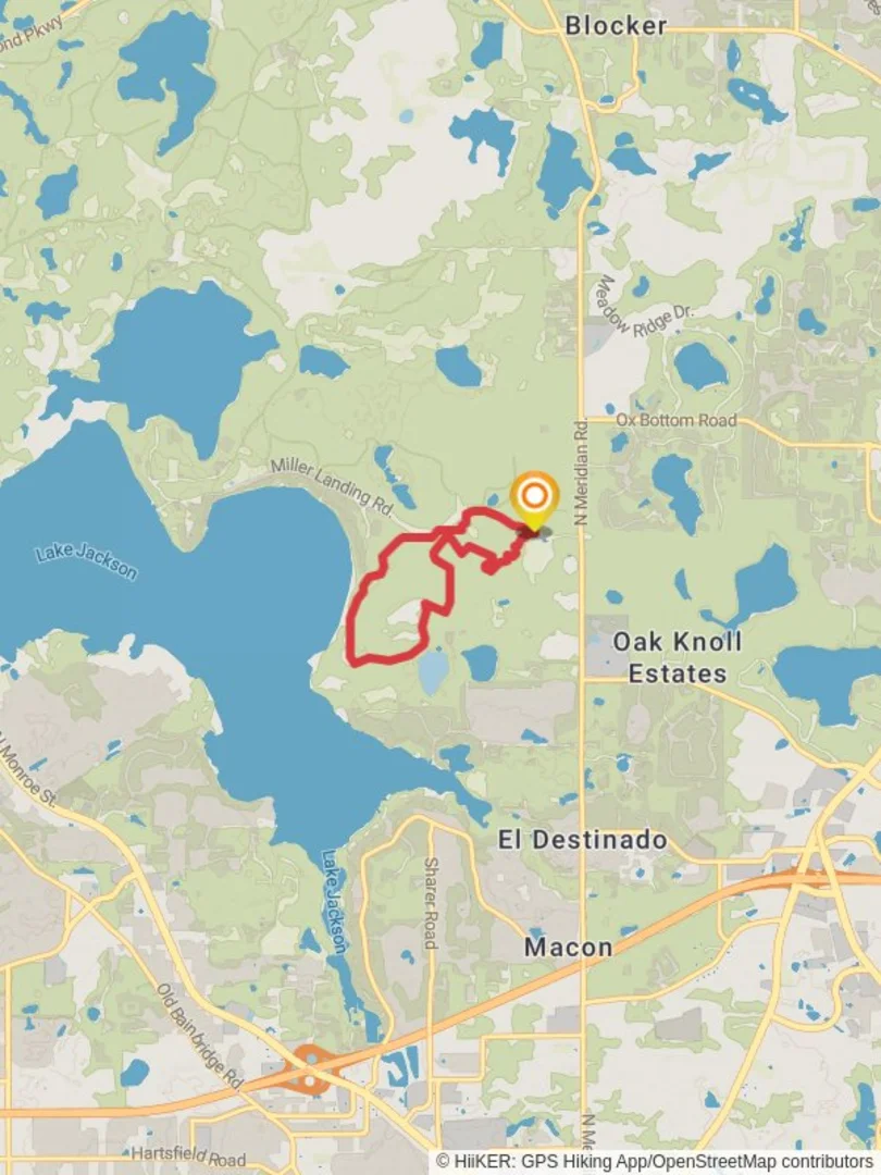 An image depicting the trail Lake Jackson East Loop and its surrounding area.