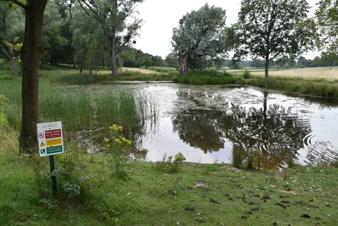 An image depicting the trail The Village Circular Path and its surrounding area.
