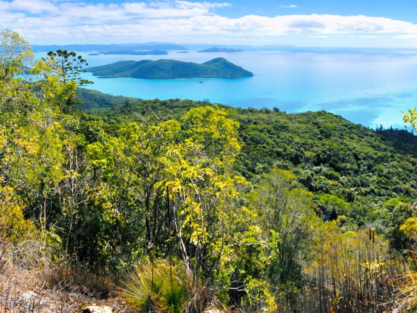 An image depicting the trail Whitsunday Peak Track and its surrounding area.