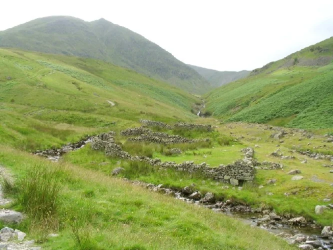 Gillside Plantation Loop