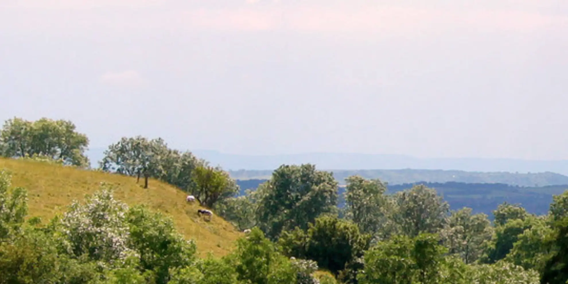An image depicting the trail Ham Woods - Croscombe and Knowle Hill from Shepton Mallet and its surrounding area.
