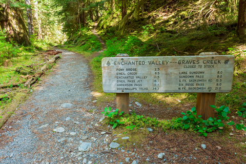 An image depicting the trail Graves Creek Primitive Trail and its surrounding area.