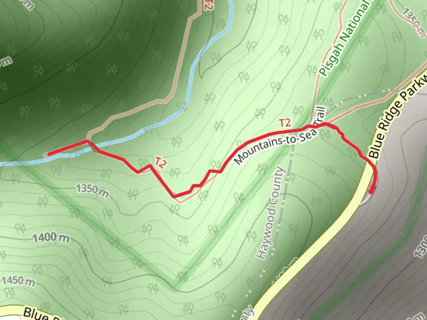 An image depicting the trail Yellowstone Prong and its surrounding area.
