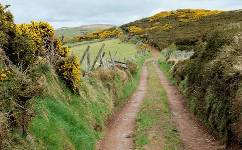 An image depicting the trail Windy Gap Pad and its surrounding area.